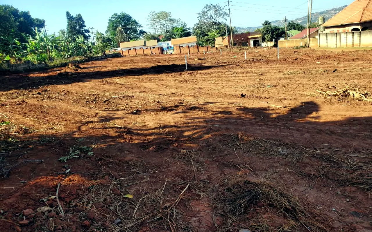 Open plot with an Earth Trust sign
